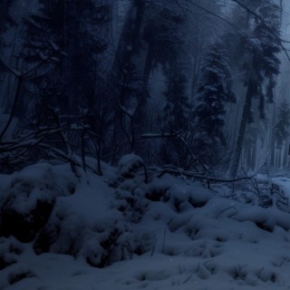 Calm Winter | Snowing | Dark Ambient Dark Synth