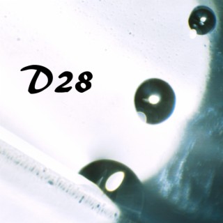 D28