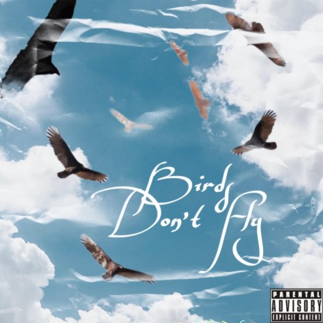 Birds Don't Fly | Boomplay Music