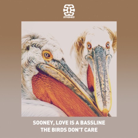 The Birds Don't Care ft. Love Is A Bassline | Boomplay Music