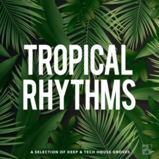 Tropical Rhythms