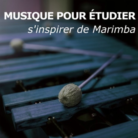 Prendre des leçons (Version Marimba) ft. Musique Relaxante Pour Étudier & Détente et Relaxation | Boomplay Music