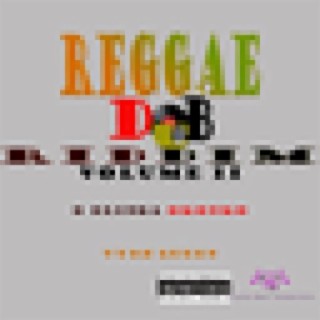 Reggae Dub Riddim Volume 2