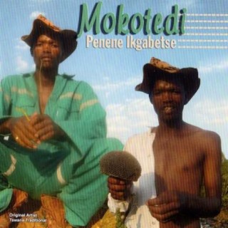 Mokotedi