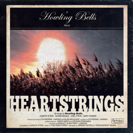 Heartstrings | Boomplay Music