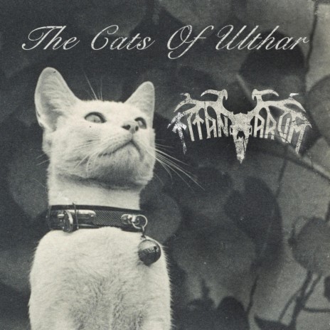 The Cats of Ulthar | Boomplay Music