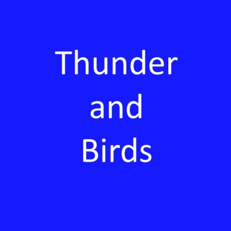 Thunder and Birds, Pt. 4