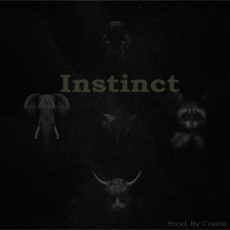 Instinct | Boomplay Music