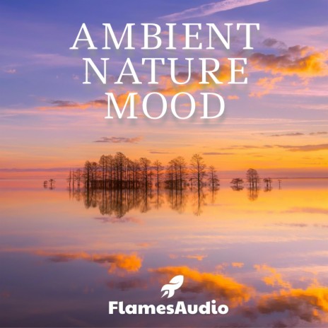 Ambient Nature Mood | Boomplay Music