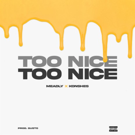 Too Nice ft. Konshes | Boomplay Music