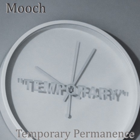 Temporary Permanence | Boomplay Music