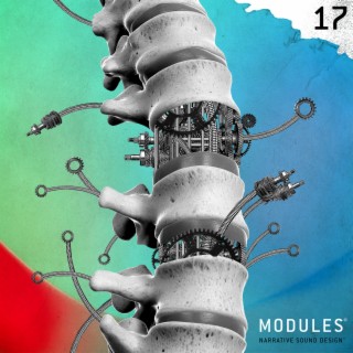 Modules 17