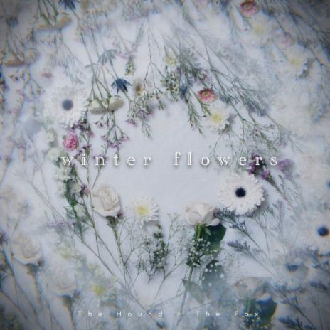 Winter Flowers | Boomplay Music