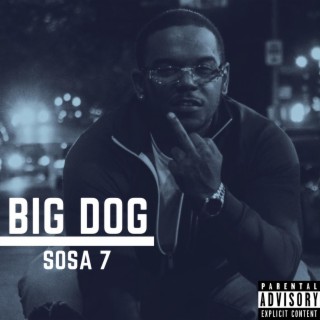 Big Dog