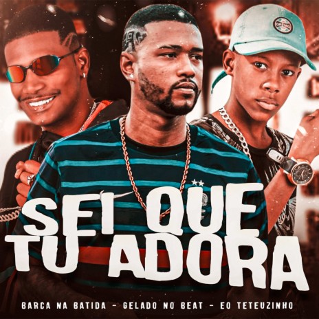 Sei Que Tu Adora ft. EO Teteuzinho & Gelado no Beat | Boomplay Music