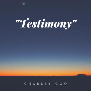 Testimony