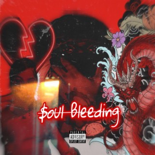 Soul Bleeding(Bleeding Soul)