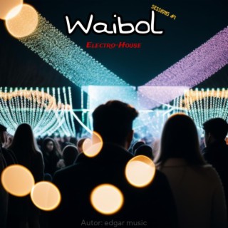 Waibol (Electro-House Sessions #1)