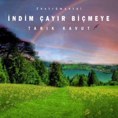 İndim Çayır Biçmeye | Boomplay Music