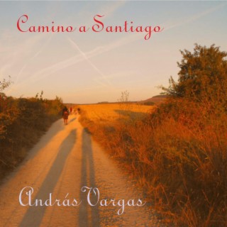 Camino a Santiago