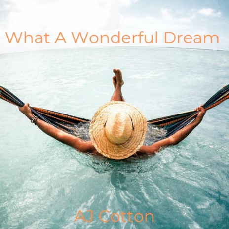 What A Wonderful Dream | Boomplay Music