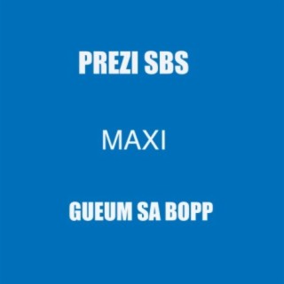 Prezi Sbs