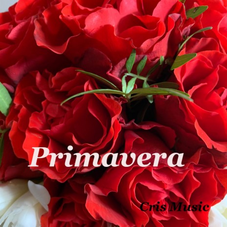 Primavera | Boomplay Music