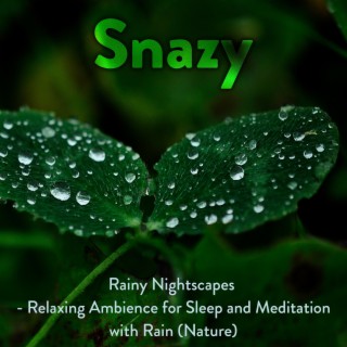 Rainy Nightscapes - Relaxing Ambience for Sleep and Meditation with Rain (Nature)