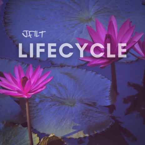 LifeCycle | Boomplay Music