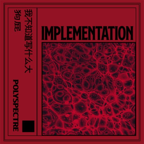 Implementation