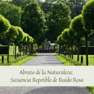 Abrazo de la Naturaleza: Secuencia Repetible de Ruido Rosa