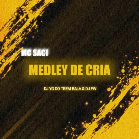 MEDLEY DE CRIA ft. DJ FW & MC Saci | Boomplay Music