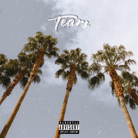 Tears ft. Brenden Cole | Boomplay Music