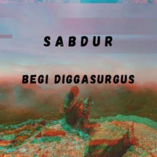 Begi Diggasurgus