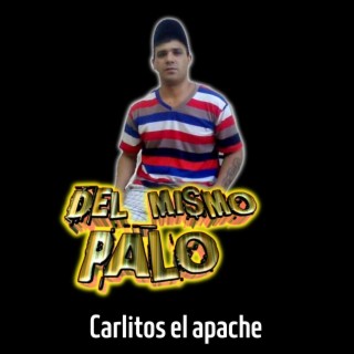 Carlitos el Apache