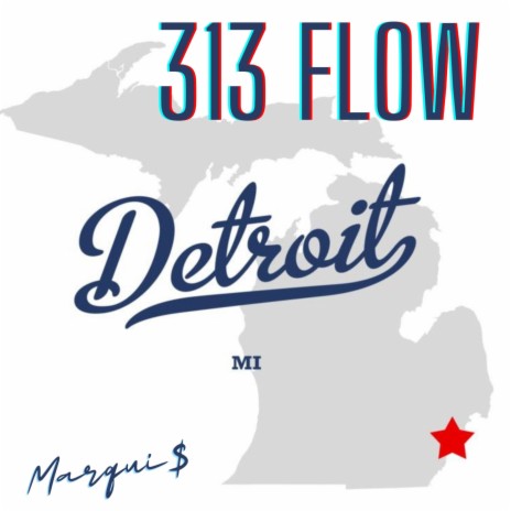 313 Flow | Boomplay Music