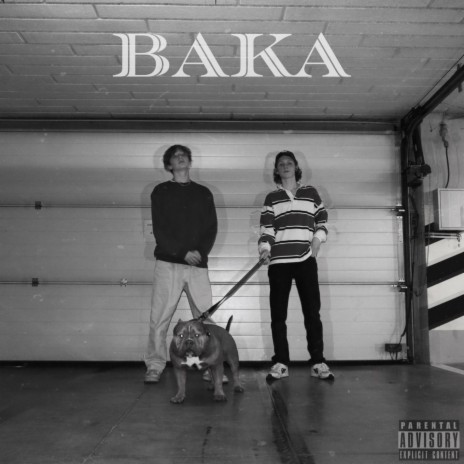 BAKA ft. Young Żupan | Boomplay Music