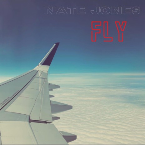 Fly (Acoustic) | Boomplay Music