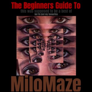 The Beginners Guide to MiloMaze