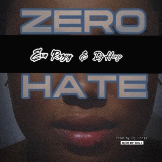 ZERO HATE ft. Dj horse lyrics | Boomplay Music