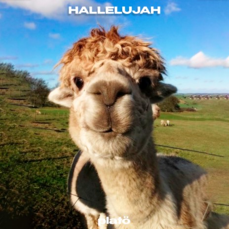 hallelujah | Boomplay Music