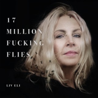 17 Million Fucking Flies