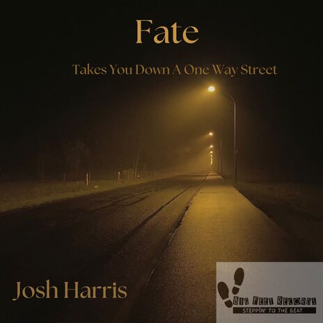 Fate Takes You Down A One Way Street | Boomplay Music