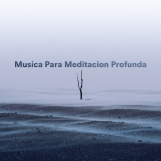 Música para Meditación Profunda
