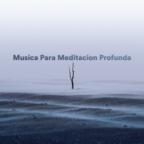 Stellar Meditation ft. Massagem Guru & Meditaciónessa
