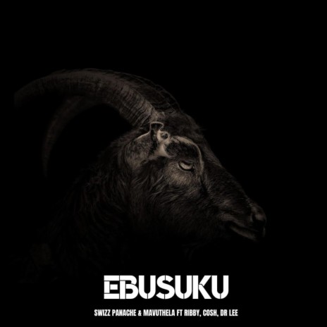 Ebusuku ft. Mavuthela, Ribby, Cosh & Dr Lee