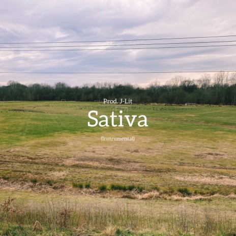 Sativa (Instrumental) | Boomplay Music