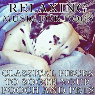 Relaxing Music for Dogs: Classical Pieces to Sooth Your Pooch and Pets