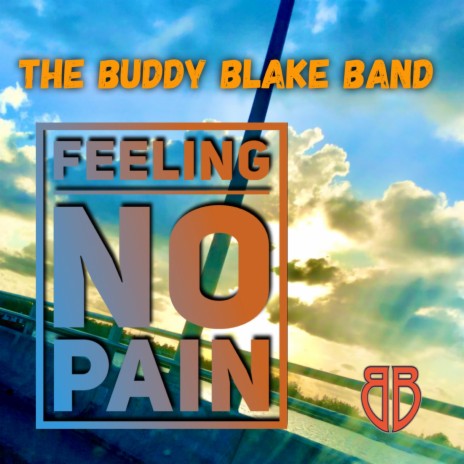 Feeling No Pain | Boomplay Music