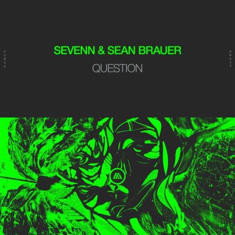 QUestion ft. Sean Brauer | Boomplay Music